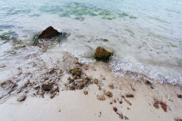 IMG_5579.JPG