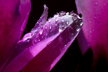 IMG_7372f.jpg