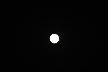 IMG_1747.JPG