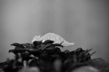 AB6D4F82-83DB-4825-B34B-F5BB54FC9BE8/L0/001