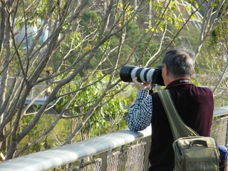 DSCF0628