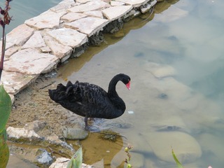 DSCF0593