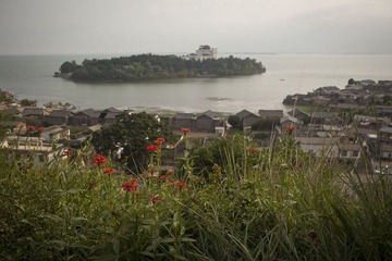 IMG_1246.jpg