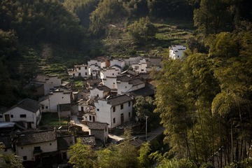 IMG_2197.jpg