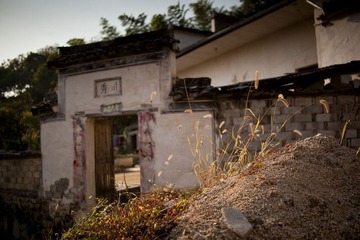 IMG_2257.jpg