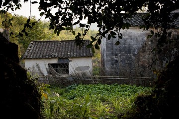 IMG_2268.jpg