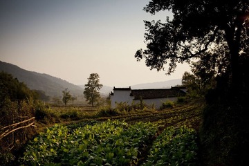 IMG_2277.jpg