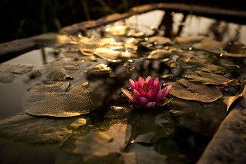 IMG_2288.jpg