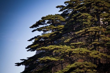 IMG_2369.jpg