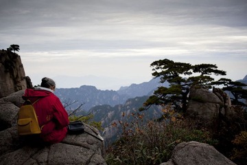 IMG_2522.jpg