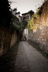 IMG_2269.jpg