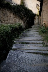 IMG_2284.jpg
