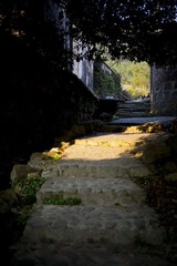 IMG_2286.jpg