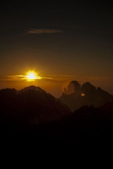 IMG_2467.jpg