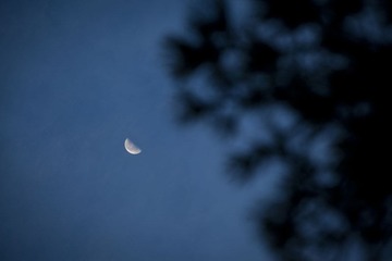 IMG_2503.jpg