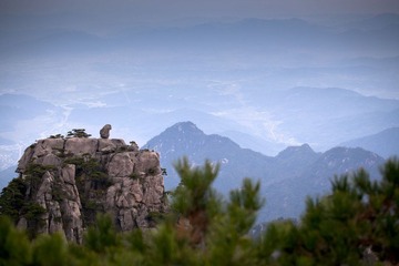 IMG_2512.jpg