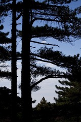 IMG_2578.jpg