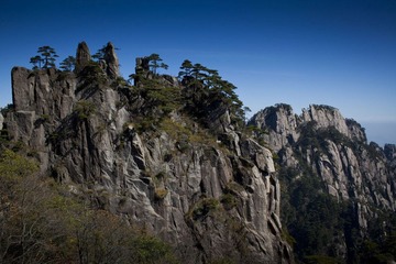 IMG_2325.jpg