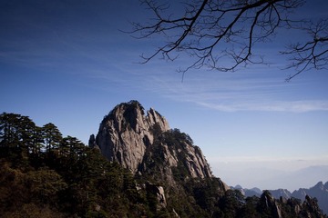 IMG_2343.jpg
