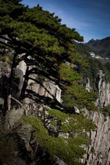 IMG_2399.jpg
