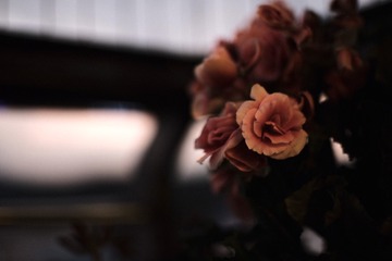 A4338A5A-A444-4ED6-A9CF-9EB7AD6E98D4/L0/001