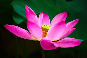 B1A80009-3DF6-406B-8D02-005DD5878DEE/L0/001