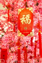 _MG_0296喜庆