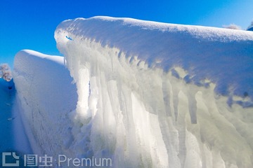 _MG_9133雪景