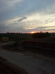 282460