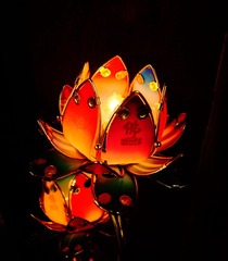 明灯by齐少璞.jpg