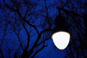 247A71C2-3AC8-4288-9CDB-122D2688B7F7/L0/001