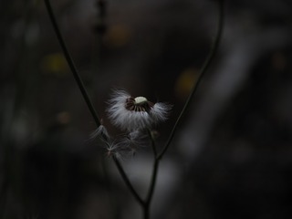 9712C5E4-CE77-4DBE-9279-F0367FEF6210/L0/001