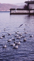 C642FA62-5F0C-4D4D-B499-8A7D9BB95168/L0/001