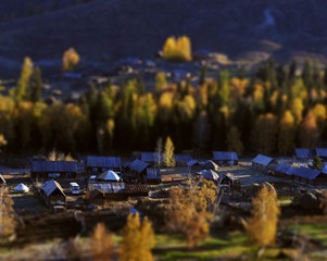 _DSC7956yz.jpg
