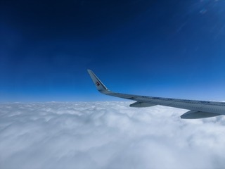 1000009082