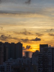 0D1684AC-BF07-48E9-AA9F-99DC96B570B6/L0/001