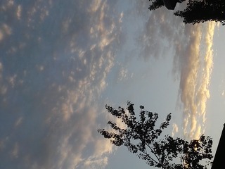 1198208