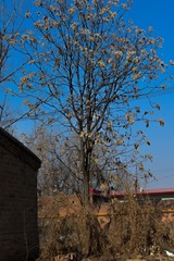 220030