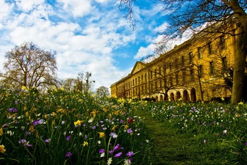 IMG_8910-1.jpg