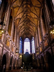 IMG_7503-1.jpg