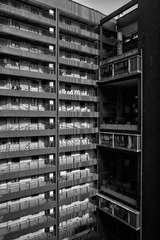 L1013556-编辑.jpg