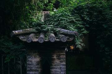 L1014176.jpg