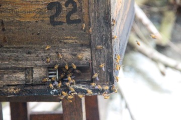 IMG_18331
