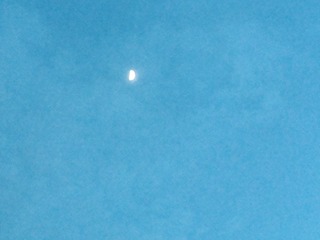 130514