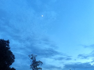 130516