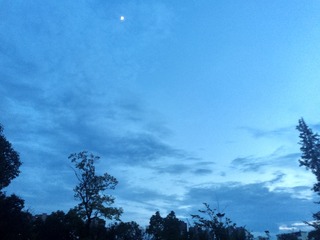 130515