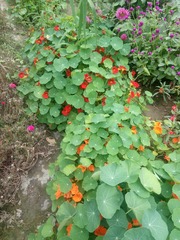 200