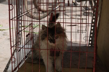 P1000038.JPG