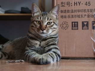 27326