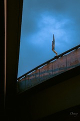 DB006C98-52FB-4CA2-8679-47C5EAFD6976/L0/001